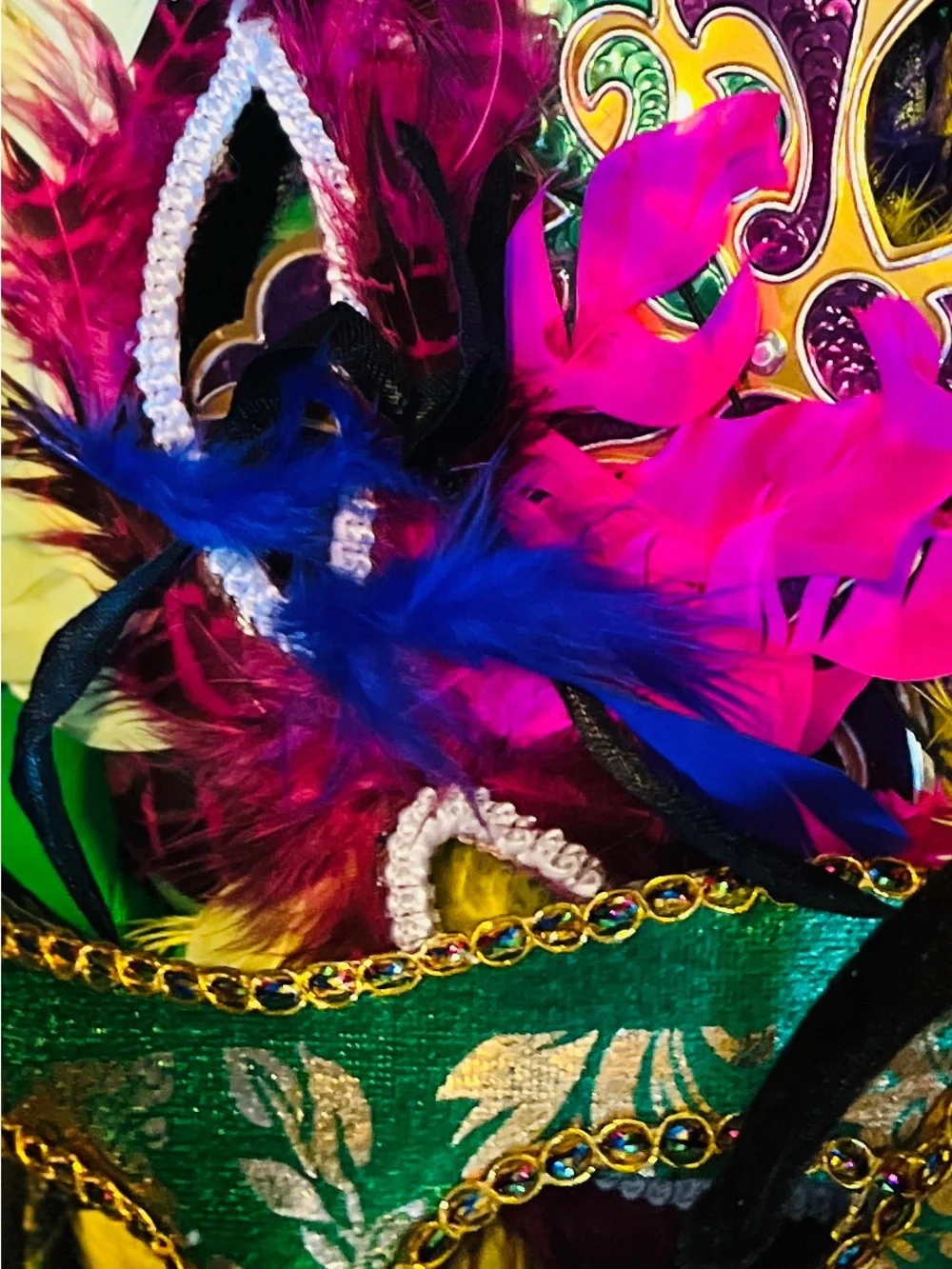 Mardis Gras bundle